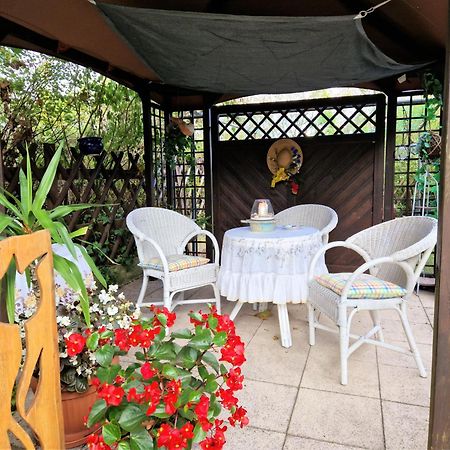 Ahlbeck, Ferienobjekt Apfel-Blume-Veilchen Apartment Heringsdorf  Exterior foto